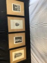 Fisher Collection Framed Photos