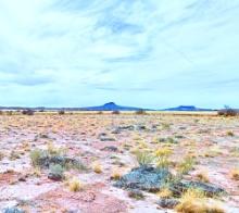 Nearly Five Arizona Acres Surrounded by Area Attractions!