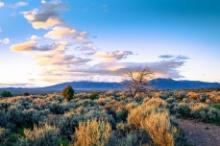 Five Lots in Booming Valencia County, New Mexico!