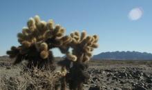 Opportunity Awaits: Build Your Future Near the Salton Sea in Imperial County, California!