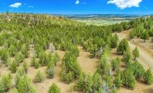 California Pines Community: Build Near the Lodge, Lake and Airstrip!