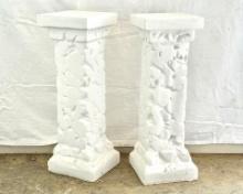 Pair of White Columns