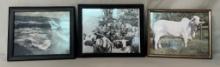 John Wayne Autographed Black & White Picture From 1972 "The Cowboys"