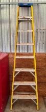 8 Werner' Folding Stepladder