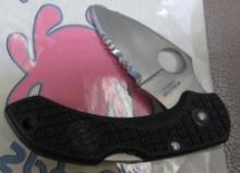 Spyderco Clip It Dragonfly Folding Knife