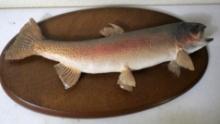 17" Trout Mount